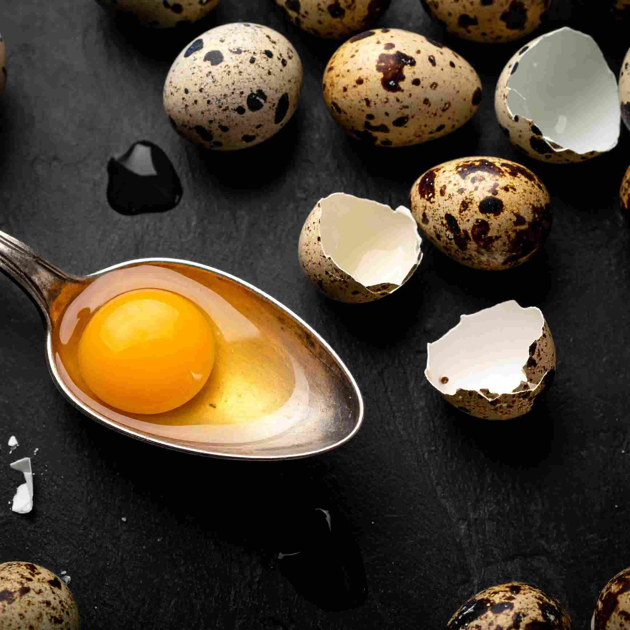 bıldırcın yumurtası içmek neye iyi gelir?